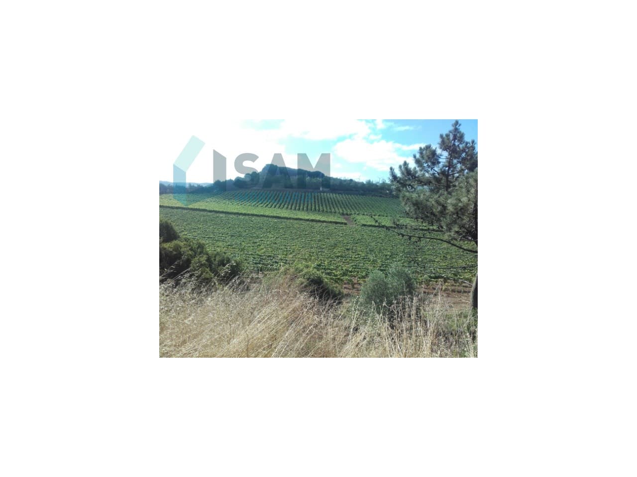 Quinta Agrícola